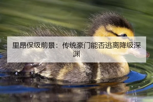 里昂保级前景：传统豪门能否逃离降级深渊